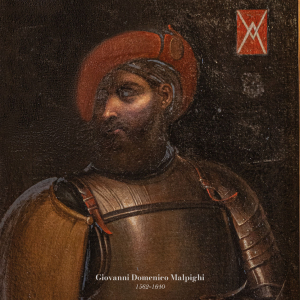 DOMENICO MALPIGHI low.jpg