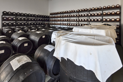 MalpighiModena2025_260.jpg
