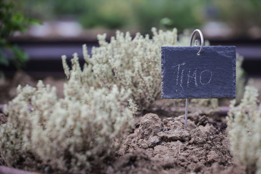 Orto alla francese dedicato alla coltivazione di piante ornamentali e commestibili